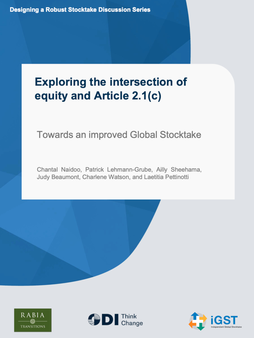 Exploring the intersection of equity and Article 2.1(c) towards an improved Global Stocktake